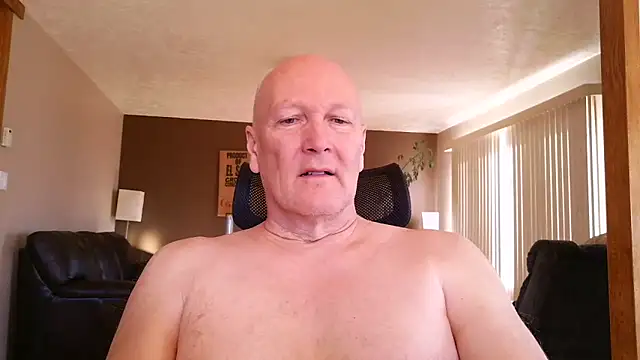 BasicAnt online show from 03.19.26