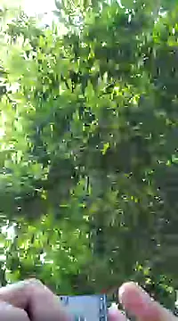 pene8991 online show from 01.17.25