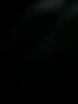 dustbor online show from 03.11.25