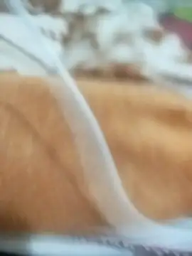 naghmi12 online show from 04.13.26