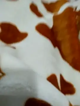 naghmi12 online show from 04.18.26