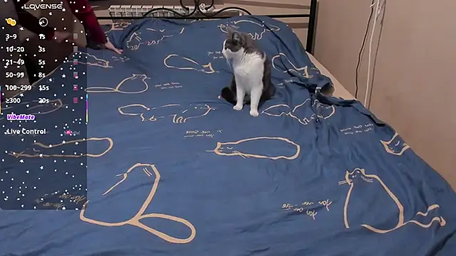 Snapshot of eva_zero chatting on 03.03.26 eva zero online show from 03.03.26