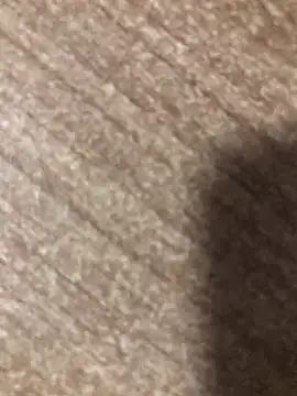 Snapshot of gokhanbey34 chatting on 02.08.25 gokhanbey34 online show from 02.08.25