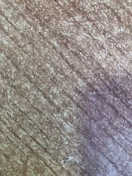 Snapshot of gokhanbey34 chatting on 10.26.25 gokhanbey34 online show from 10.26.25