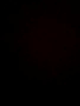 Snapshot of gokhanbey34 chatting on 11.26.25 gokhanbey34 online show from 11.26.25