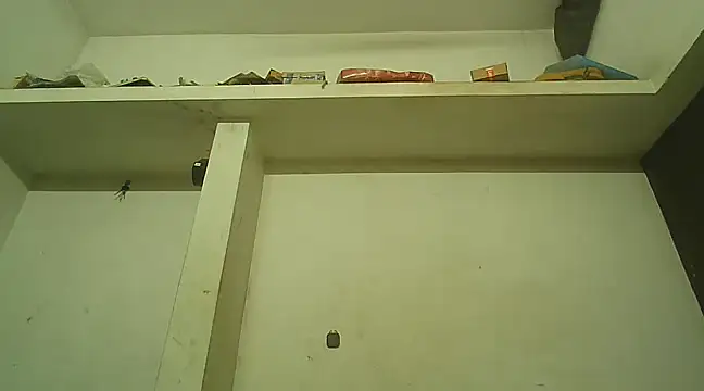 Akhilamolu the transsissy online show from 02.08.25