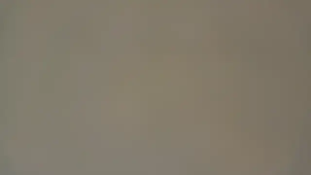 Eva Rodriguez  online show from 04.05.26