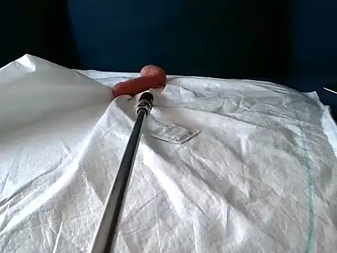 Snapshot of Simon-tem chatting on 02.24.25 Simon-tem online show from 02.24.25