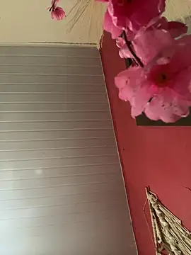 pimenta gaby online show from 04.17.26