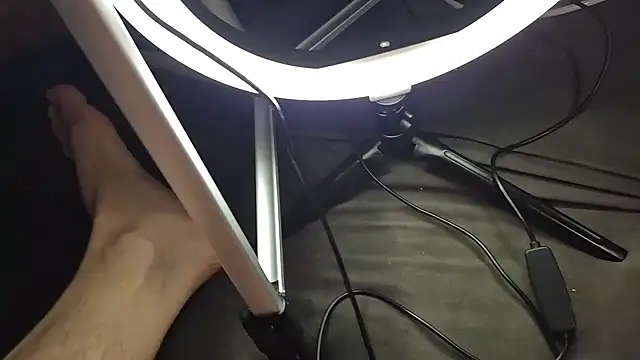 Majestic-Class online show from 02.02.26