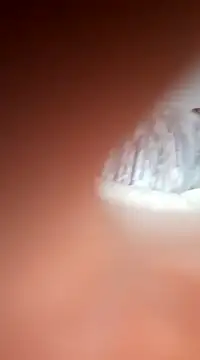 bms125 online show from 03.02.25