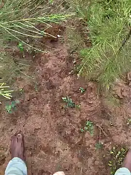 Gopal1243 online show from 12.09.24