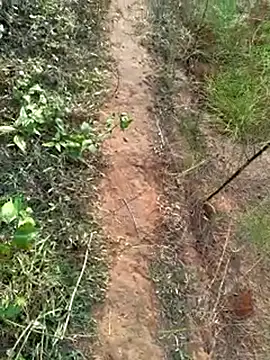 Gopal1243 online show from 12.14.24