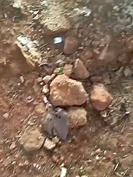 Gopal1243 online show from 12.15.24