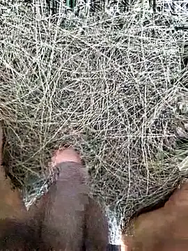 Gopal1243 online show from 02.19.26