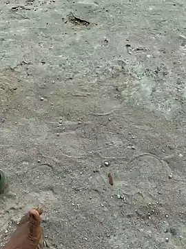 Gopal1243 online show from 04.20.26