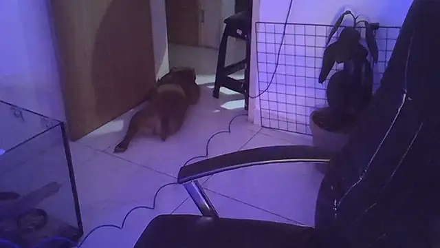 myamillor online show from 12.14.24