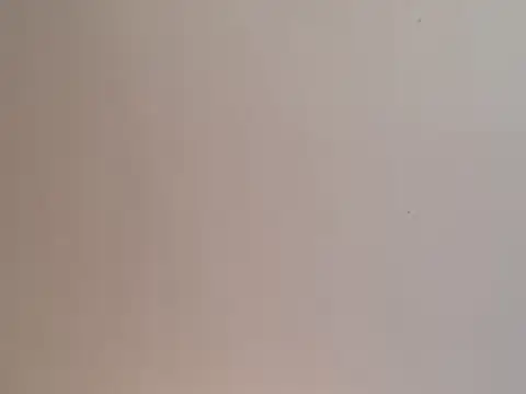 highstepper500 online show from 12.25.24