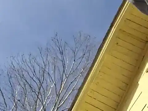 highstepper500 online show from 12.25.24