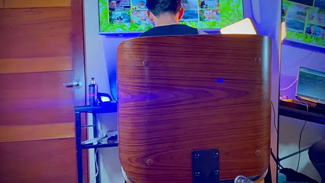 Snapshot of _DANTE_BIGASS chatting on 11.29.25 DANTE BIGASS online show from 11.29.25