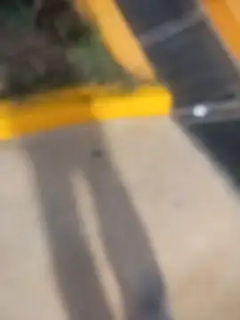 sagrado 1989 online show from 02.23.26