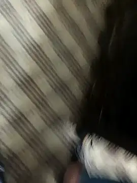 hotdickhow online show from 03.08.25