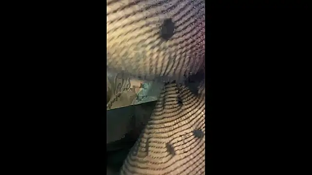 QueKitty online show from 07.10.26