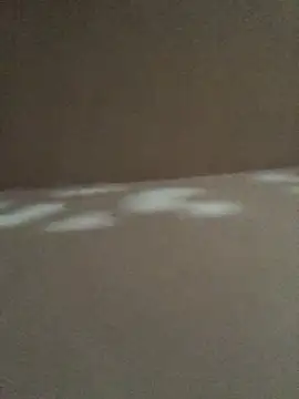 ALLAN 00 online show from 04.30.26