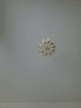 cuci45 online show from 02.20.26