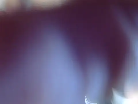 OSIRlS online show from 12.12.24