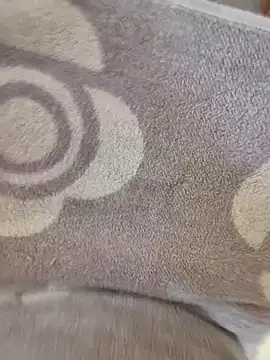 cuminpussyalot online show from 03.08.26