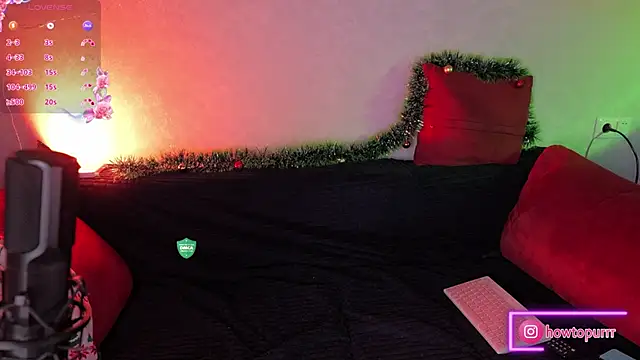 Snapshot of How2Meow chatting on 12.24.24 How2Meow online show from 12.24.24