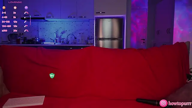 Snapshot of How2Meow chatting on 12.02.25 How2Meow online show from 12.02.25