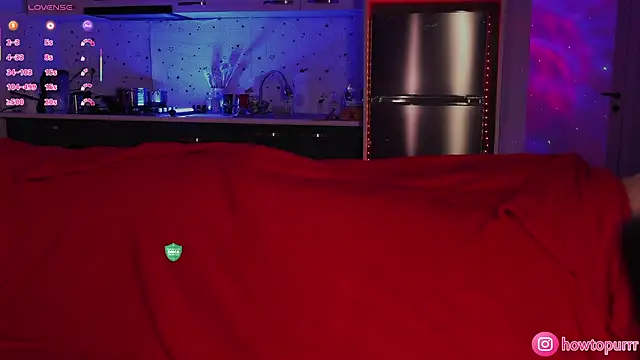 Snapshot of How2Meow chatting on 02.06.26 How2Meow online show from 02.06.26