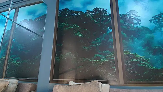 JONAS SMITH  online show from 02.01.25