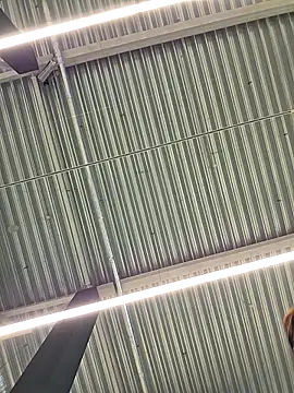 LeticiaWoods online show from 10.19.25