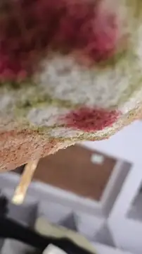 Im Aryan online show from 12.14.24