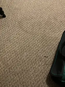 Snapshot of 1Lustfully_yours chatting on 11.10.25 1Lustfully yours online show from 11.10.25