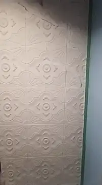 HAIRY PUSSY BIG online show from 01.01.25