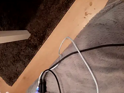 Snapshot of Ebinator666 chatting on 02.18.25 Ebinator666 online show from 02.18.25