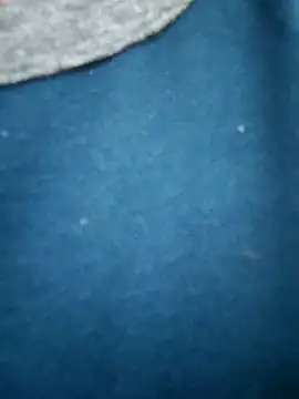 Snapshot of Bangalorebull chatting on 10.17.25 Bangalorebull online show from 10.17.25