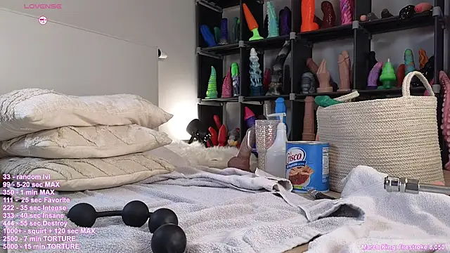 Snapshot of hayleex_x chatting on 03.05.25 hayleex x online show from 03.05.25