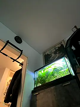 Toyjungee online show from 09.23.25