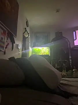 Toyjungee online show from 01.12.26