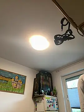 Toyjungee online show from 06.11.26