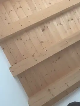 Fellix online show from 02.24.25