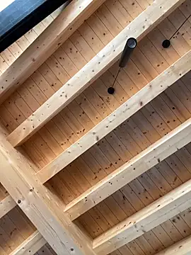 Fellix online show from 10.17.25