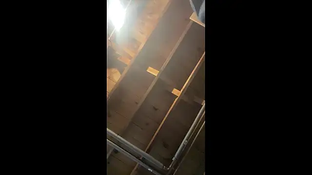 KBONE36 online show from 02.16.26