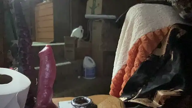 Snapshot of 44jon44 chatting on 11.26.25 44jon44 online show from 11.26.25