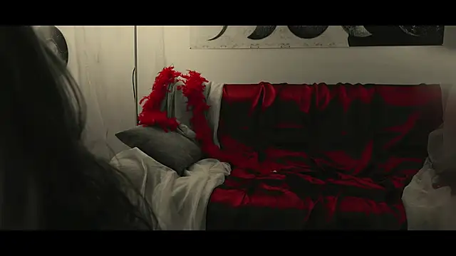 WebCora online show from 01.17.25